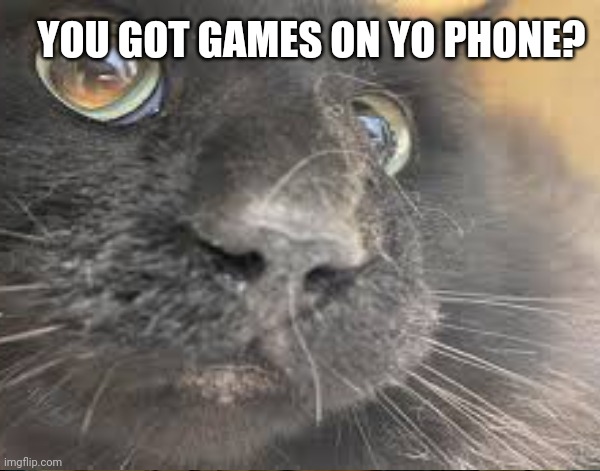 YOU GOT GAMES ON YO PHONE? | image tagged in no i don't got games on my phone | made w/ Imgflip meme maker