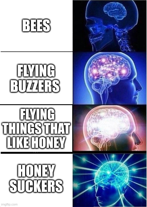 mhm | BEES; FLYING BUZZERS; FLYING THINGS THAT LIKE HONEY; HONEY SUCKERS | image tagged in memes,expanding brain | made w/ Imgflip meme maker