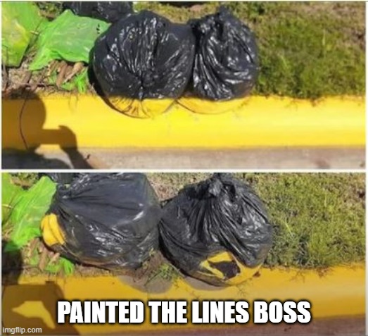 Painted | PAINTED THE LINES BOSS | image tagged in you had one job | made w/ Imgflip meme maker