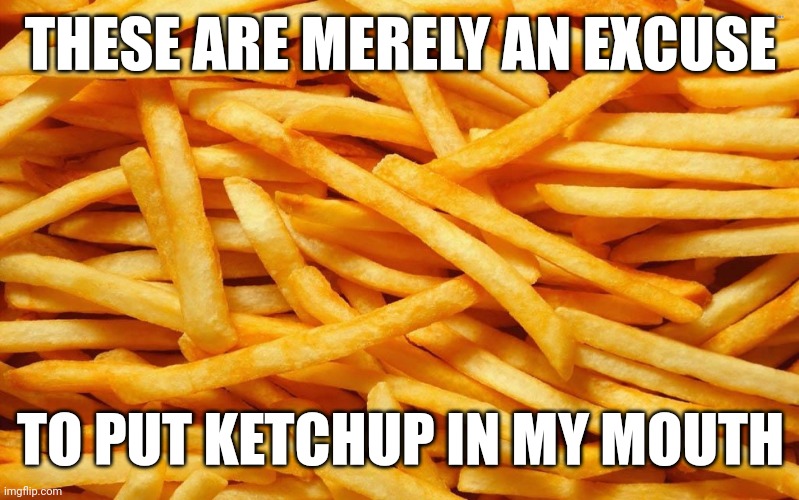 French Fries | THESE ARE MERELY AN EXCUSE; TO PUT KETCHUP IN MY MOUTH | image tagged in french fries | made w/ Imgflip meme maker