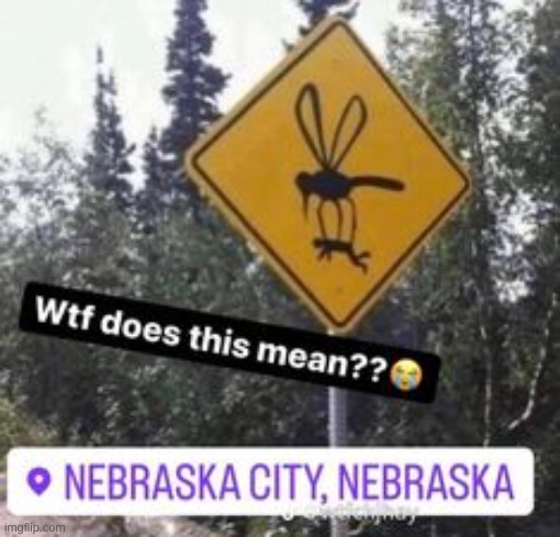 mosquitoes be crazy in nebraska | made w/ Imgflip meme maker