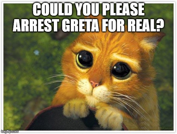 Shrek Cat Meme | COULD YOU PLEASE ARREST GRETA FOR REAL? | image tagged in memes,shrek cat | made w/ Imgflip meme maker
