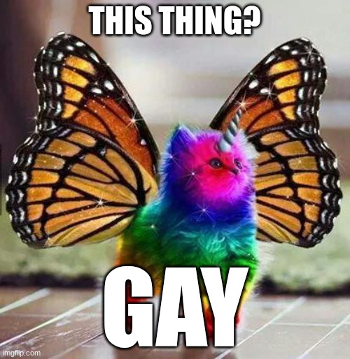 Rainbow unicorn butterfly kitten | THIS THING? GAY | image tagged in rainbow unicorn butterfly kitten | made w/ Imgflip meme maker
