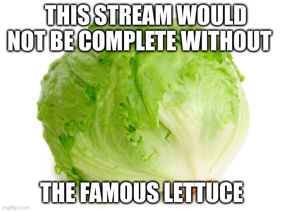 all hail lettuce | THIS STREAM WOULD NOT BE COMPLETE WITHOUT; THE FAMOUS LETTUCE | image tagged in lettuce,lettuce is goat | made w/ Imgflip meme maker