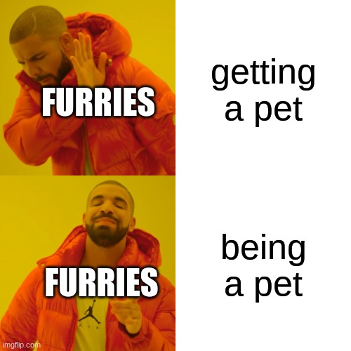 ah yes. instead of getting a pet, they decided to cosplay as one. America in 2023, people. | getting a pet; FURRIES; being a pet; FURRIES | image tagged in memes,drake hotline bling | made w/ Imgflip meme maker