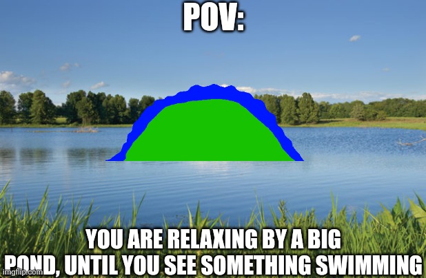 Rules: No ERPS. No rudeness, no weaponized OCs, no early roleplay endings | POV:; YOU ARE RELAXING BY A BIG POND, UNTIL YOU SEE SOMETHING SWIMMING | image tagged in forden pond | made w/ Imgflip meme maker