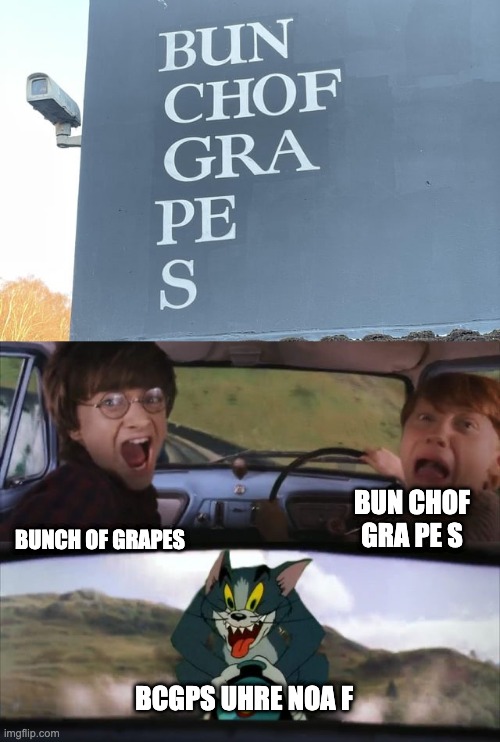 Bcgps Uhre Noa F | BUNCH OF GRAPES; BUN CHOF GRA PE S; BCGPS UHRE NOA F | image tagged in tom chasing harry and ron weasly,you had one job,memes,design fails,failure,signs | made w/ Imgflip meme maker