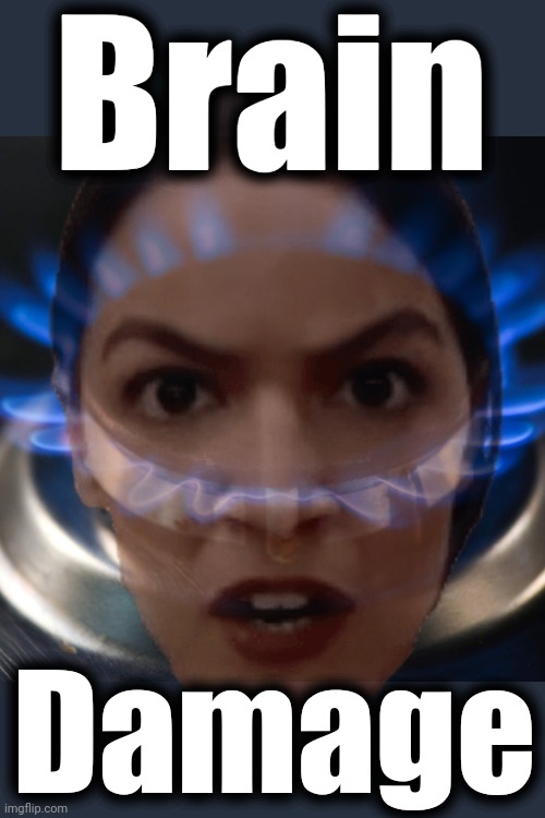 The poster girl for brain damage | Brain; Damage | image tagged in memes,aoc,alexandria ocasio-cortez,gas stoves,democrats,natural gas | made w/ Imgflip meme maker