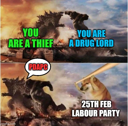 Kong Godzilla Doge | YOU ARE A THIEF; YOU ARE A DRUG LORD; PDAPC; 25TH FEB LABOUR PARTY | image tagged in kong godzilla doge | made w/ Imgflip meme maker