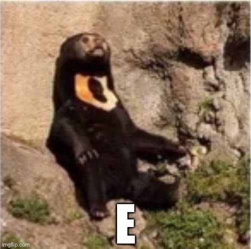 E | image tagged in e,memes,bear,sun bear,gen z humor | made w/ Imgflip meme maker