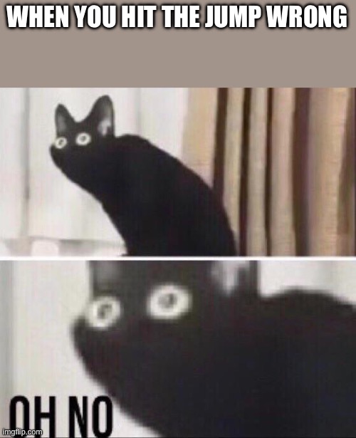 *crashes* | WHEN YOU HIT THE JUMP WRONG | image tagged in oh no cat | made w/ Imgflip meme maker