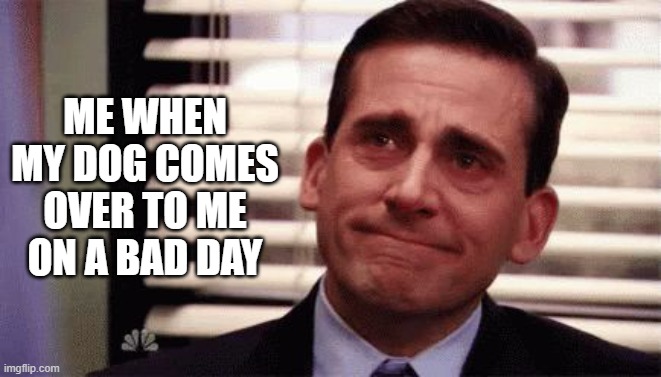 I just love dogs | ME WHEN MY DOG COMES OVER TO ME ON A BAD DAY | image tagged in happy cry,dogs | made w/ Imgflip meme maker