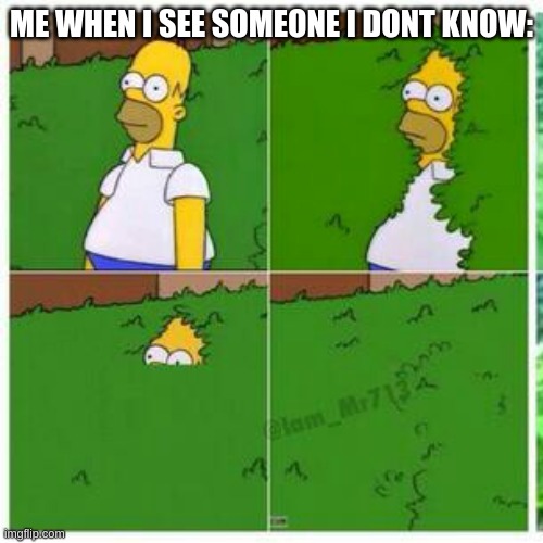 Homer hides | ME WHEN I SEE SOMEONE I DONT KNOW: | image tagged in homer hides | made w/ Imgflip meme maker
