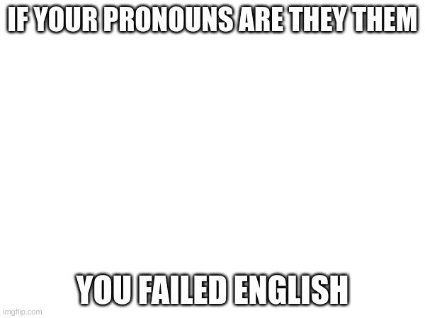 My prOnOuNs ARe ThEy/TheM | IF YOUR PRONOUNS ARE THEY THEM; YOU FAILED ENGLISH | image tagged in aftf | made w/ Imgflip meme maker