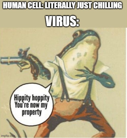 Hippity hoppity, you're now my property | VIRUS:; HUMAN CELL: LITERALLY JUST CHILLING | image tagged in hippity hoppity you're now my property | made w/ Imgflip meme maker