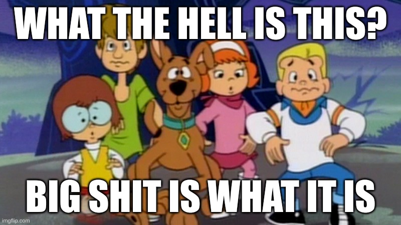 A pup named scoody doo WTF | WHAT THE HELL IS THIS? BIG SHIT IS WHAT IT IS | image tagged in a pup named scoody doo wtf | made w/ Imgflip meme maker