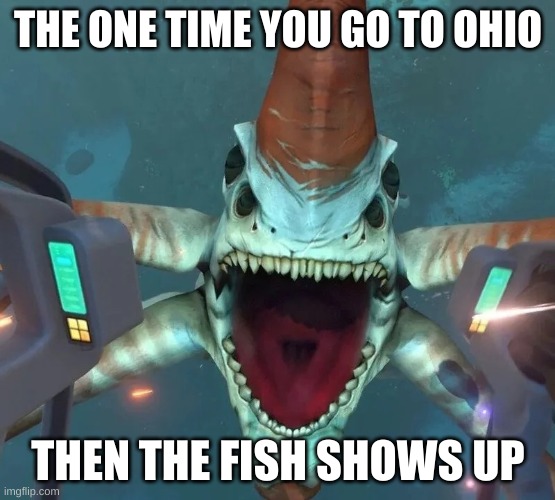 Can’t even swim in Ohio | THE ONE TIME YOU GO TO OHIO; THEN THE FISH SHOWS UP | image tagged in can t even swim in ohio | made w/ Imgflip meme maker