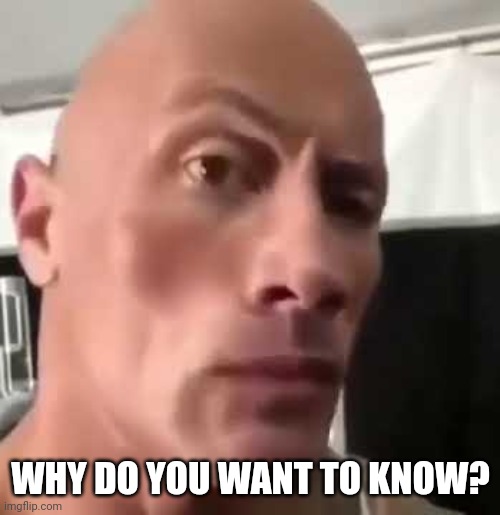 The Rock Eyebrows | WHY DO YOU WANT TO KNOW? | image tagged in the rock eyebrows | made w/ Imgflip meme maker