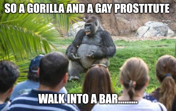 SO A GORILLA AND A GAY PROSTITUTE; WALK INTO A BAR......... | made w/ Imgflip meme maker