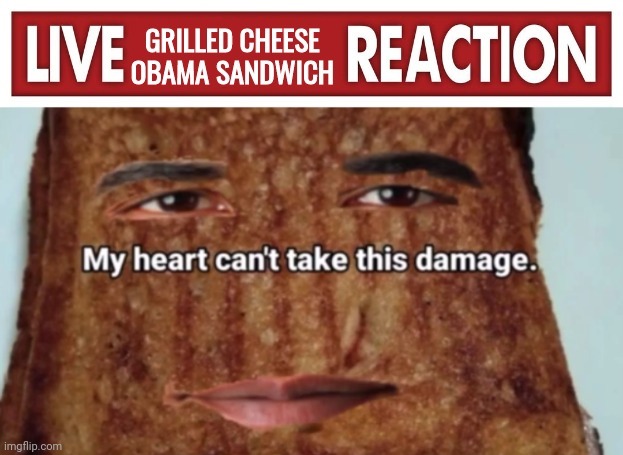Live grilled cheese Obama sandwich reaction | image tagged in live grilled cheese obama sandwich reaction | made w/ Imgflip meme maker