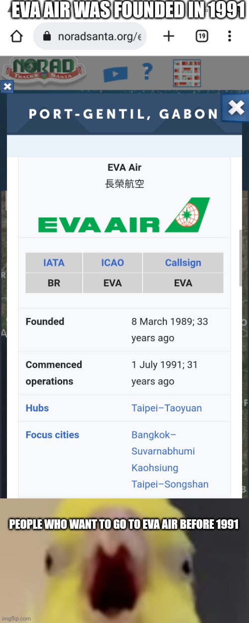 1991 | EVA AIR WAS FOUNDED IN 1991; PEOPLE WHO WANT TO GO TO EVA AIR BEFORE 1991 | image tagged in bird like a dino | made w/ Imgflip meme maker