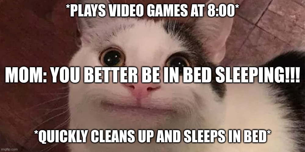 Beluga | *PLAYS VIDEO GAMES AT 8:00*; MOM: YOU BETTER BE IN BED SLEEPING!!! *QUICKLY CLEANS UP AND SLEEPS IN BED* | image tagged in beluga,life,gaming,video games | made w/ Imgflip meme maker