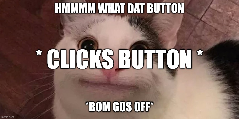 Beluga | HMMMM WHAT DAT BUTTON; * CLICKS BUTTON *; *BOM GOS OFF* | image tagged in memes | made w/ Imgflip meme maker