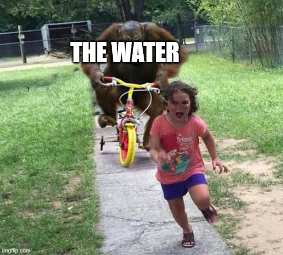 Run! | THE WATER | image tagged in run | made w/ Imgflip meme maker