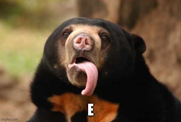 Sun Bear Rain meme | E | image tagged in sun bear rain meme,e | made w/ Imgflip meme maker