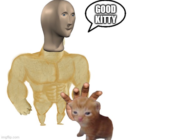 Kitty | GOOD KITTY | image tagged in kitty | made w/ Imgflip meme maker