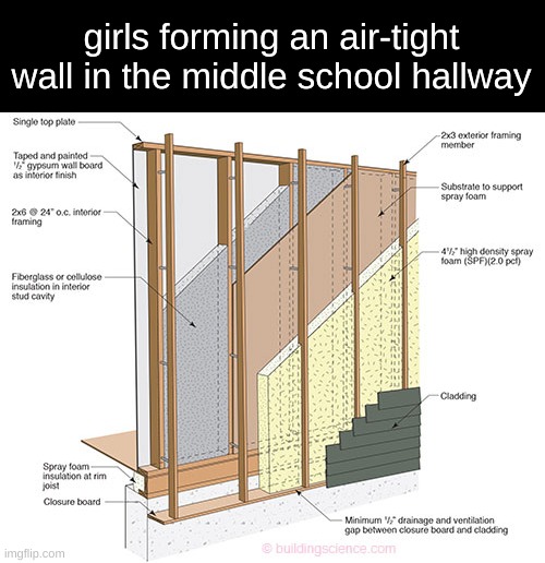 girls forming an air-tight wall in the middle school hallway | made w/ Imgflip meme maker