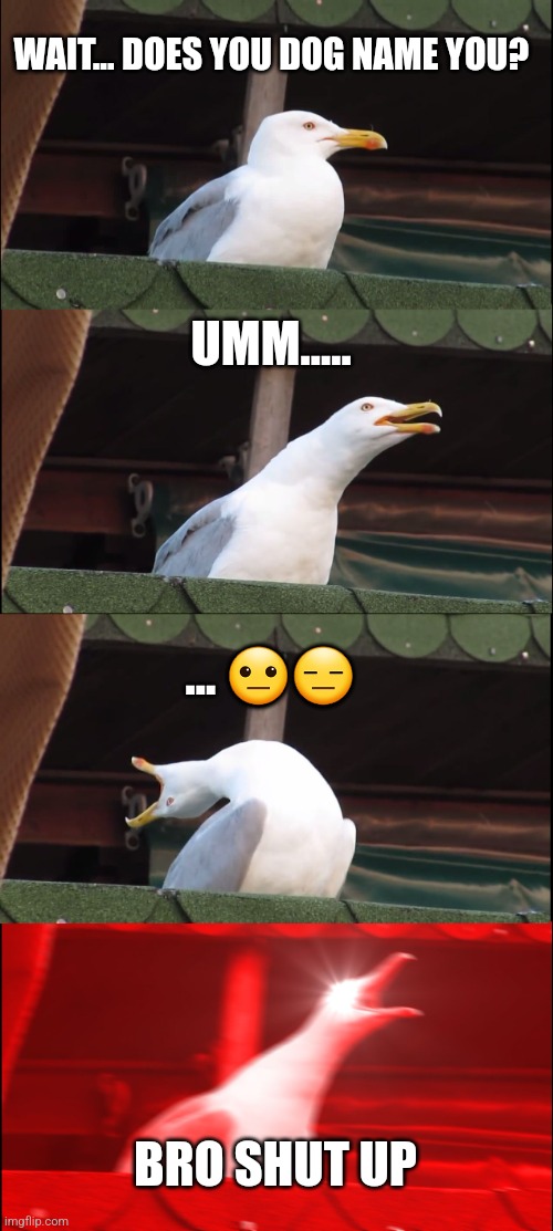 Inhaling Seagull | WAIT... DOES YOU DOG NAME YOU? UMM..... ... 😐😑; BRO SHUT UP | image tagged in memes,inhaling seagull | made w/ Imgflip meme maker