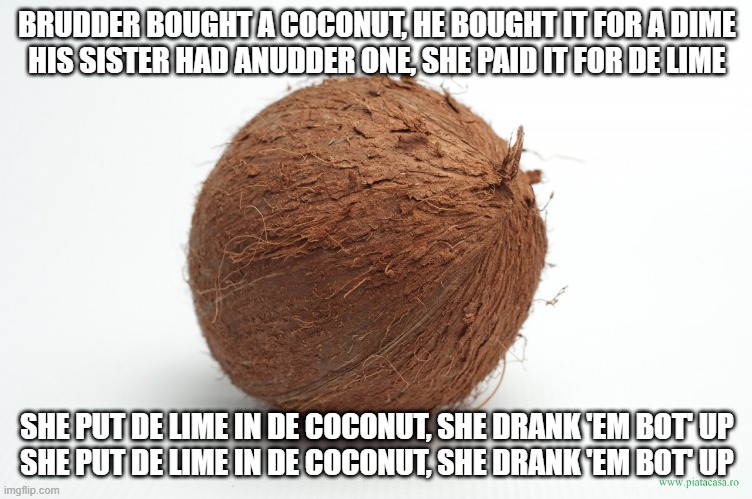 Nilsson is Now Stuck in Your Head | BRUDDER BOUGHT A COCONUT, HE BOUGHT IT FOR A DIME
HIS SISTER HAD ANUDDER ONE, SHE PAID IT FOR DE LIME; SHE PUT DE LIME IN DE COCONUT, SHE DRANK 'EM BOT' UP
SHE PUT DE LIME IN DE COCONUT, SHE DRANK 'EM BOT' UP | image tagged in coconut | made w/ Imgflip meme maker