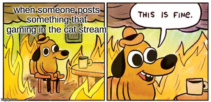 This Is Fine | when someone posts something that gaming in the cat stream | image tagged in memes,this is fine | made w/ Imgflip meme maker