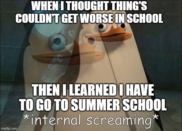 I funked school | WHEN I THOUGHT THING'S COULDN'T GET WORSE IN SCHOOL; THEN I LEARNED I HAVE TO GO TO SUMMER SCHOOL | image tagged in private internal screaming | made w/ Imgflip meme maker