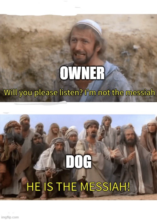 He is the messiah | OWNER DOG | image tagged in he is the messiah | made w/ Imgflip meme maker
