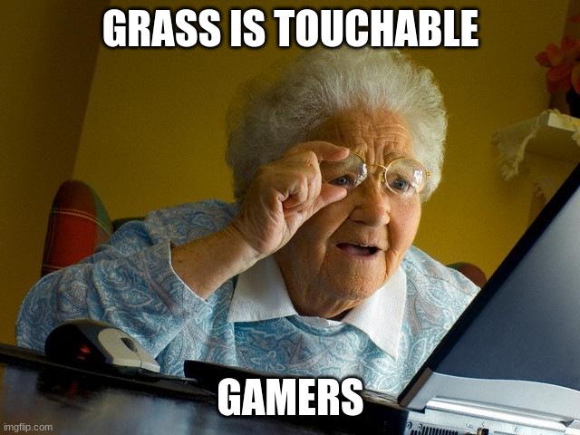 there's no way... | GRASS IS TOUCHABLE; GAMERS | image tagged in memes,grandma finds the internet | made w/ Imgflip meme maker