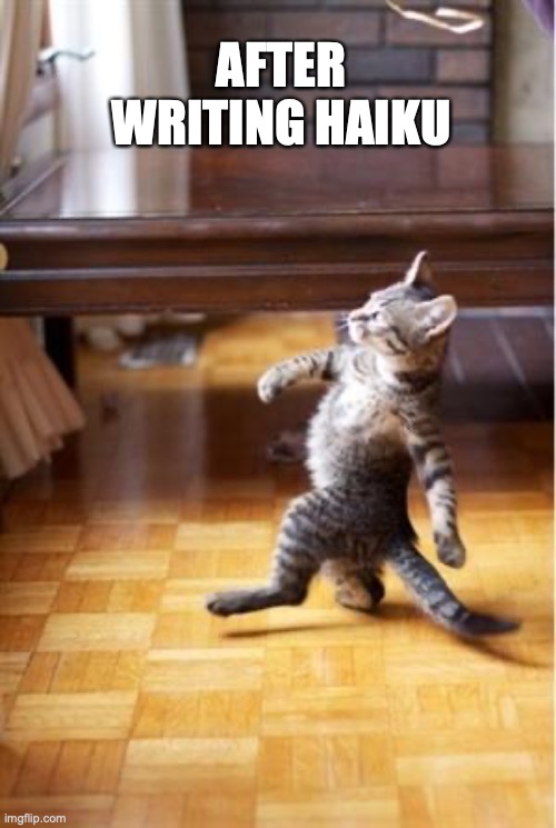 after writing haiku cat | AFTER WRITING HAIKU | image tagged in walking cat | made w/ Imgflip meme maker