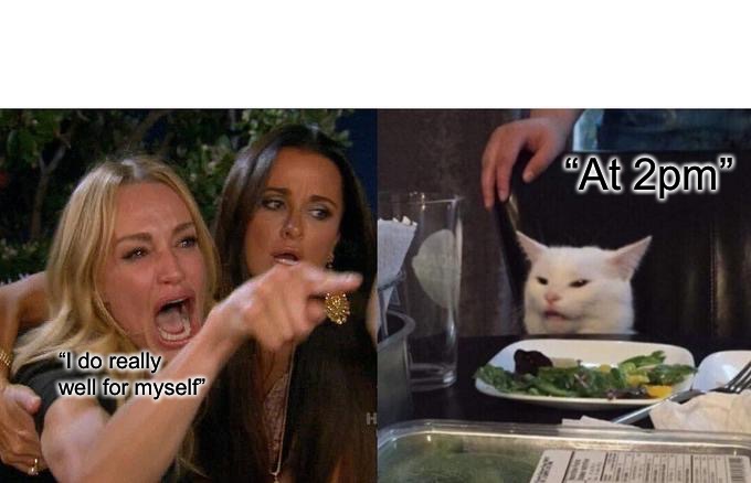 The Cats Meow | “At 2pm”; “I do really well for myself” | image tagged in memes,woman yelling at cat,bad memes,bar jokes,drunk girl,meme | made w/ Imgflip meme maker