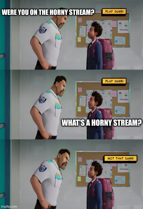 bro dumb (I'm out of ideas) | WERE YOU ON THE HORNY STREAM? WHAT'S A HORNY STREAM? | image tagged in play dumb | made w/ Imgflip meme maker