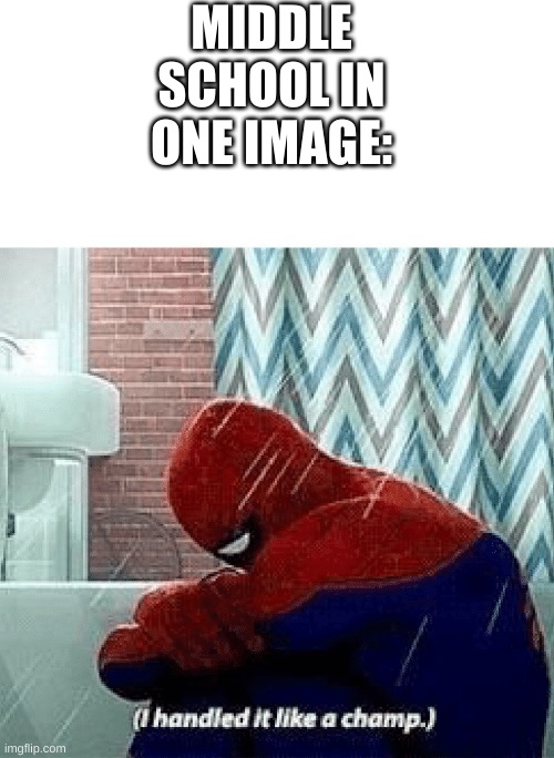 Spider-Verse Meme | MIDDLE SCHOOL IN ONE IMAGE: | image tagged in spider-verse meme | made w/ Imgflip meme maker
