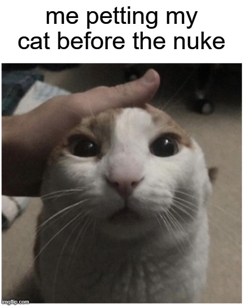 me petting my cat | me petting my cat before the nuke | image tagged in me petting my cat | made w/ Imgflip meme maker