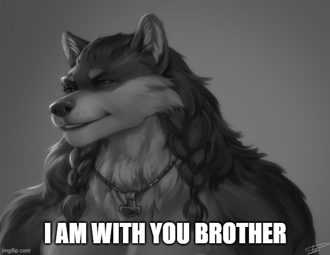 furry gigachad | I AM WITH YOU BROTHER | image tagged in furry gigachad | made w/ Imgflip meme maker