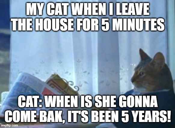 Cats... | MY CAT WHEN I LEAVE THE HOUSE FOR 5 MINUTES; CAT: WHEN IS SHE GONNA COME BAK, IT'S BEEN 5 YEARS! | image tagged in memes,i should buy a boat cat | made w/ Imgflip meme maker