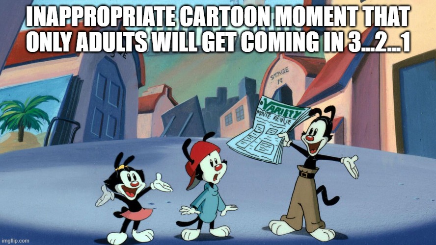 Animaniacs Moments | INAPPROPRIATE CARTOON MOMENT THAT ONLY ADULTS WILL GET COMING IN 3...2...1 | image tagged in classic cartoons | made w/ Imgflip meme maker