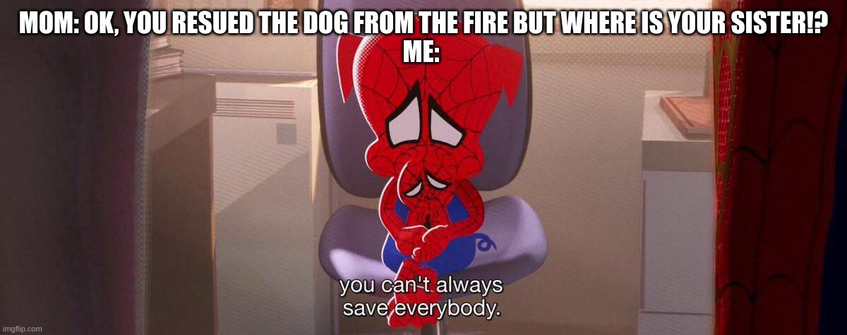 /j I love my sister | MOM: OK, YOU RESUED THE DOG FROM THE FIRE BUT WHERE IS YOUR SISTER!?
ME: | image tagged in you can't save everybody | made w/ Imgflip meme maker