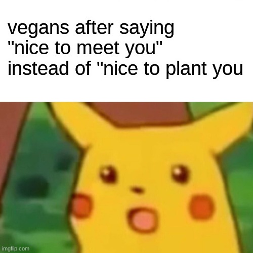 Surprised Pikachu | vegans after saying "nice to meet you" instead of "nice to plant you | image tagged in memes,surprised pikachu | made w/ Imgflip meme maker