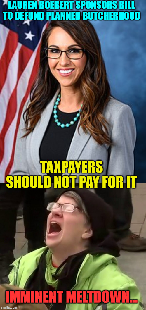 Globull warming event about to happen... | LAUREN BOEBERT SPONSORS BILL TO DEFUND PLANNED BUTCHERHOOD; TAXPAYERS SHOULD NOT PAY FOR IT; IMMINENT MELTDOWN... | image tagged in lauren boebert,crying liberal | made w/ Imgflip meme maker
