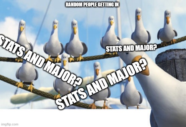Finding Nemo Seagulls | RANDOM PEOPLE GETTING IN; STATS AND MAJOR? STATS AND MAJOR? STATS AND MAJOR? | image tagged in finding nemo seagulls | made w/ Imgflip meme maker