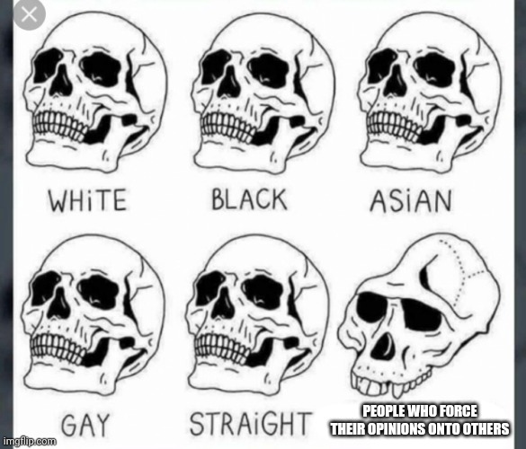 Please, just don't. | PEOPLE WHO FORCE THEIR OPINIONS ONTO OTHERS | image tagged in white black asian gay straight skull template | made w/ Imgflip meme maker